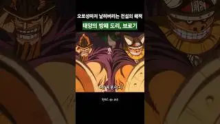 오로성마저 날려버리는 전설의 해적 도리 브로기 ㄷㄷ