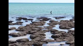 Nature=Futur ! Des fondations plus naturelles