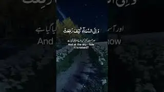 The holy quran. the holy quran with urdu translationthe holy quran essay in english