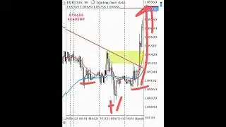 how to pick btmm Level 1 trade reset