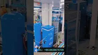 Magic！A Well Organized Cake Packaging Production Line!