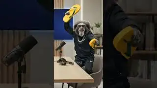 Entrando com os dois p&eacute;s em 2026!#micocast #mico #piada #chimpa #havaianas