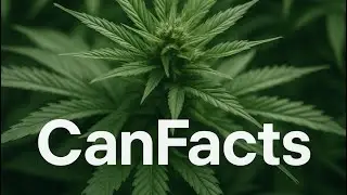 Fragw&uuml;rdig 🤔😂 #cannabisdaily #cannabiseducation #canfacts #high #insideout #shortvideo #verstecken