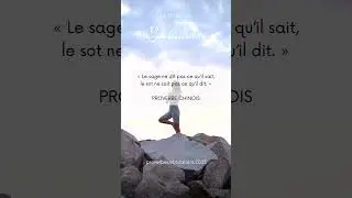 Citation 70 ! Le sage ne dit pas ce qu&rsquo;il sait&hellip; #proverbechinois #sot #sagesse #savoir #idiots