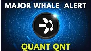 See What QUANT (Qnt) WHALES are Doing.