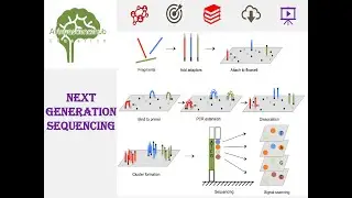 Next Generation Sequencing #education #science #neet #molecularbiology #dnasequencing #youtubeshorts