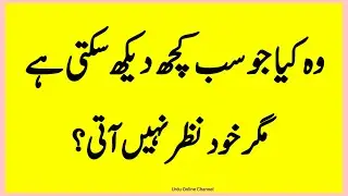 Paheliyan Riddles Puzzles in Urdu || Common Sense Question Answers || Sawal Jawab #riddles #paheli 