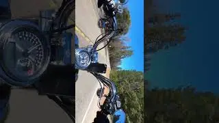 Enjoy the life while you have chance and get a motorcycle #wow #bikelife #shorts  #harleydavidson