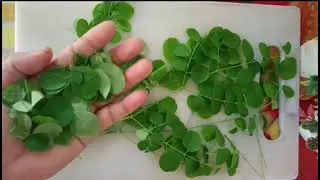  Weight Loss Moringa Recipe | सहजन के पत्तों की Simple & Tasty Sabzi! &lrm;⁨@GharkiKhushboo-byPunam⁩&nbsp; 