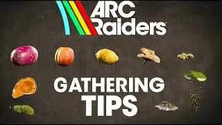 Советы по сбору ARC Raiders | Пышные цветы, задиры, улучшения и крафт