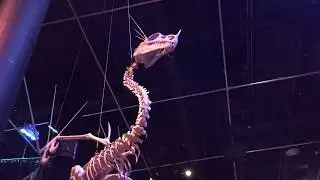 Harry Potter Studio Tour Part Two - Days Out With The Hutton&rsquo;s |2017|