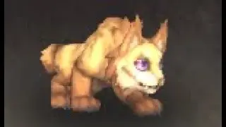 Secret Battle Pet: Thunder, Showing/Telling where and how in Hallowfall, WoW The War Within
