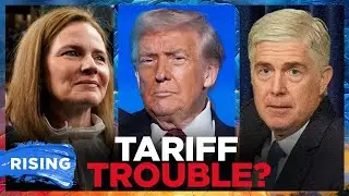 SCOTUS Justices Appear DUBIOUS Of Trump TARIFF Authority During Oral Arguments | RISING
