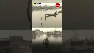 Dal Lake freezes! Kashmir's coldest winter yet!