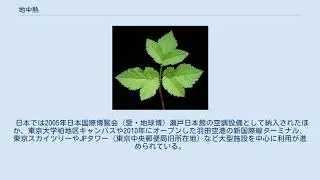 地中熱