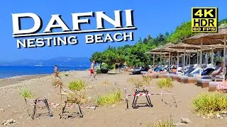 Dafni Beach walk Zakynthos Greece, 4K 60fps HDR (UHD) Dolby Atmos 💖The best places 👀 Walking tour