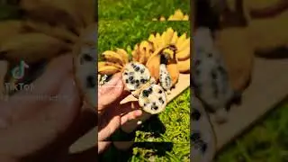 fruits before humans modified them #shorts