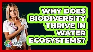 Why Does Biodiversity Thrive In Water Ecosystems? - Holistic Balance And Bliss