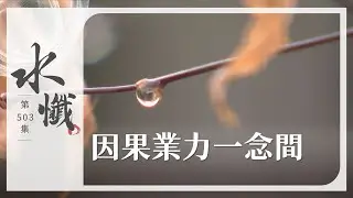 【法譬如水】 因果業力一念間 - 第503集｜水懺｜慈悲三昧水懺｜ 20260128