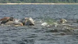 Lake St. Joseph, Ontario