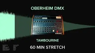 Oberheim DMX Tambourine (1 HOUR)