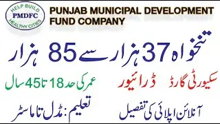 Punjab Municipal Development Fund Company Jobs August 2025 ||  Apply Online Now