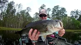 Fort Stewart Kayak Bass Fishing