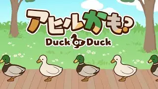 Top 10 Duck Sorter In Action