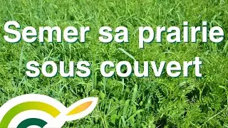 Semer sa prairie sous couvert - Cérience