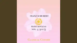 Piano Sonata No. 9 in B Major, D. 575 - III. Scherzo (Allegretto)