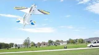 NitroPlanes 3D Hawk. An 