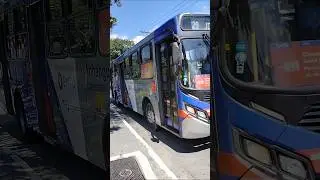fluxo de &Ocirc;nibus em perus sp #asmr #automobile #food