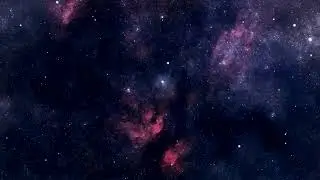 Amazing Facts You Need to Know Right Now!
