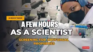 The fungal fight: Good fungi vs bad fungi, who will win?