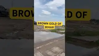 Brown Gold of Bihar 😲 | Story of Sand Mafia from Ganga. #bihar #patnabihar #bihartourism #sandmafia