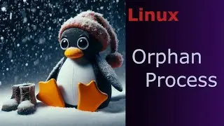 Linux - Orphan Process
