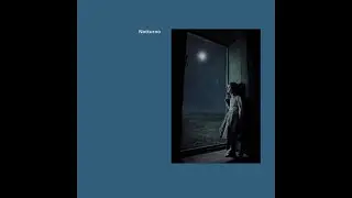 Taccuini - notturna
