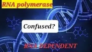 RNA dependant DNA polymerase DNA dependant RNA polymerase confusion solved
