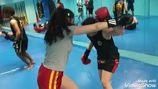 Clases  de Sanda , Proyecciones  2019