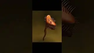 Venus Flytrap Sea Anemone😯😥