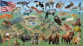How To Make an America Animal Farm in Minecraft PE