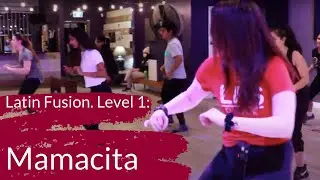Latin Fusion | Beginner Dance Class | Level 1 Class Footage
