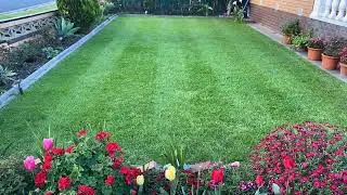 Putting lines on my lawn