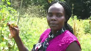 The South Lango Tour