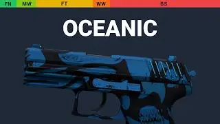 P2000 Oceanic - Skin Float And Wear Preview