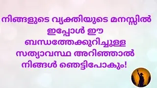 ♦️✨നിങ്ങളുടെ തീവ്രമായ ഊർജം അവരെ നിങ്ങളിലേക്ക് ആകർഷിക്കുന്നു!