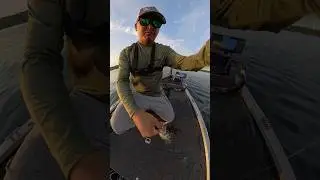 Bobber Down!! (Crappie Fishing) #crappie #fishing #crappiefishing