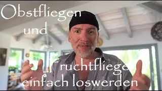 Obstfliegen/Fruchtfliegen schnell + einfach loswerden. Obstfliegenfalle selber machen mit Hausmittel