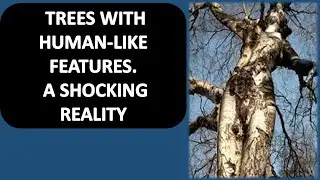 TREES WITH HUMAN-LIKE FEATURES II A SHOCKING REALITY OF NATURE II   TELL A TALE WITH NAYOMIE