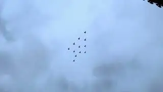 Julgransflygning över Göteborg med Herkules- och JAS-plan - 231212
